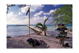 Rum Point View Grand Cayman Island Photographic Print by George Oze