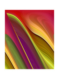 Oomph Three Photographic Print by Ruth Palmer