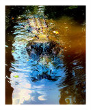 010708 The Reason I Gave Up My Kayak Photographic Print by Garland Oldham