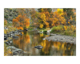 Fall Poudre reflection Photographic Print by Rich Ernst