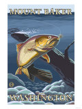 Trout Fishing Cross-Section, Mount Baker, Washington Posters
