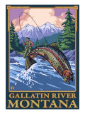 Fly Fishing Scene, Gallatin River, Montana Posters