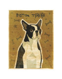 Boston Terrier Art by John Golden