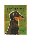 John Golden - Dachshund Obrazy John Golden - Dachshund Obrazy