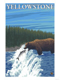Bear Fishing in River, Yellowstone National Park Photo