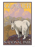 Mountain Goat, Glacier National Park, Montana Plakát Mountain Goat, Glacier National Park, Montana Plakát