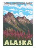 Fireweed & Mountains, Denali National Park, Alaska Posters
