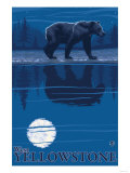 Bear in Moonlight, West Yellowstone, Montana Posters