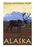 Caribou Scene, Denali National Park, Alaska Posters Caribou Scene, Denali National Park, Alaska Posters
