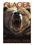 Bear Roaring, Glacier National Park, Montana Art