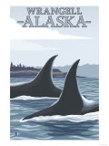 Orca Whales 1, Wrangell, Alaska Prints