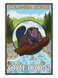 Beaver & River, Columbia Gorge, Oregon Affiche