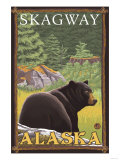 Black Bear in Forest, Skagway, Alaska Print