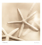 Il Oceano II Posters by Alan Blaustein