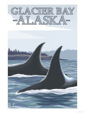 Orca Whales 1, Glacier Bay, Alaska Prints