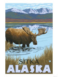 Moose Drinking at Lake, Sitka, Alaska Prints