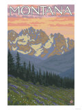Spring Flowers, Montana Posters