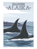 Orca Whales 1, Haines, Alaska Poster