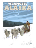 Dog Sledding Scene, Wrangell, Alaska Póster