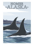 Orca Whales 1, Homer, Alaska Posters