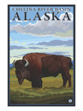 Bison Scene, Chitina River Basin, Alaska Poster