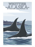 Orca Whales 1, Whittier, Alaska Print