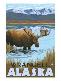 Moose Drinking at Lake, Wrangell, Alaska Prints
