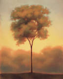 Solitude III Art by Darlou Gams