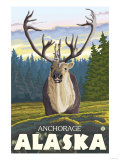 Caribou in the Wild, Anchorage, Alaska Prints