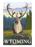 Caribou in the Wild, Wyoming Prints