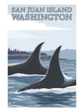 Orca Whales 1, San Juan Island, Washington Art