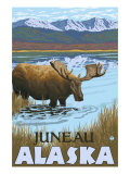 Moose Drinking at Lake, Juneau, Alaska Prints