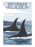 Orca Whales 1, Ketchikan, Alaska Poster