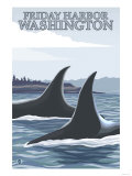 Orca Whales 1, Friday Harbor, Washington Posters
