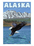 Bald Eagle, Alaska Poster