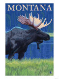Moose, Montana Print
