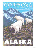 Mountain Goats Scene, Cordova, Alaska Posters