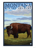 Bison, Montana Láminas