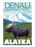 Moose Scene, Denali National Park, Alaska Affiches