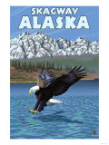 Bald Eagle Diving, Skagway, Alaska Print