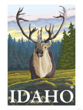 Caribou in the Wild, Idaho Prints