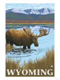 Moose Drinking at Lake, Wyoming Poster