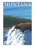 Bear Fishing in River, Montana Prints