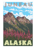 Fireweed & Mountains, Juneau, Alaska Posters