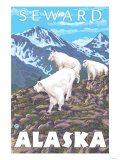 Mountain Goats Scene, Seward, Alaska Poster