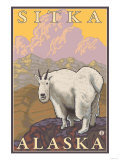 Mountain Goat, Sitka, Alaska Print