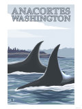 Orca Whales 1, Anacortes, Washington Posters