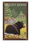 Black Bear in Forest, Mount Hood, Oregon Prints
