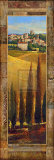 Tuscan Valley I Art by P. Patrick