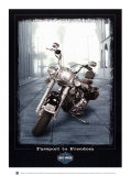 Passport to Freedom Prints by Helen Flint